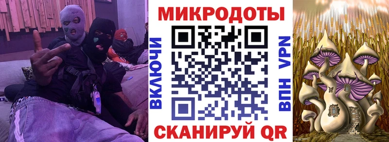 Псилоцибиновые грибы ЛСД  Хилок 
